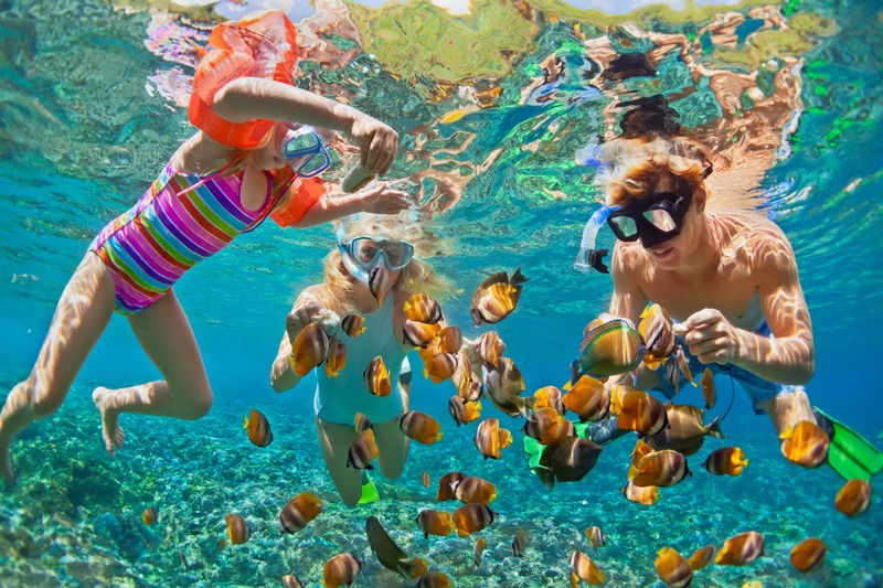 family snorkeling with colorful fish